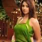 Richa Gangopadhyay bags the lead opposite&nbsp;Venkatesh