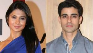 What is Sanjay Leela Bhansali’s Saraswatichandra all about?