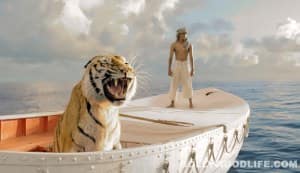 LIFE OF PI theatrical trailer: Why is Irrfan missing?