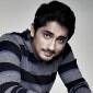 Rana Daggubati, Mahesh Babu, Ram Charan Teja – invasion of the south&nbsp;hotties!