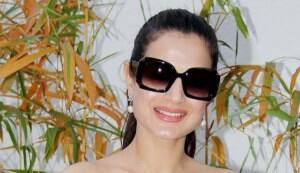 Can you tolerate two Ameesha Patels in one film?