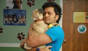 Riteish Deshmukh sings ‘Cappuccino’ in Marathi!