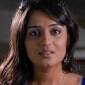 Sandalwood rises in support of&nbsp;Nikitha