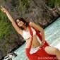 No Ileana-Priyanka catfight on ‘Barfee’&nbsp;sets?
