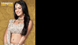 Veena Malik: Did she or did she not go nude?