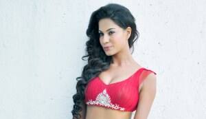 What kind of a man does Veena Mallik want?