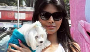 Sherlyn Chopra in PeTA’s Dogs can’t use condoms campaign