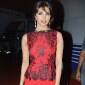 Zanjeer: Priyanka Chopra to shoot song with 100&nbsp;men