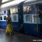 Watch Shahrukh Khan and Rohit Shetty play cricket on the sets of Chennai&nbsp;Express