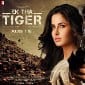 Is Salman Khan-Katrina Kaif’s ‘Ek Tha Tiger’ already a blockbuster&nbsp;hit?