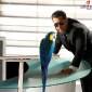 Bigg Boss movie: Will Salman Khan star in&nbsp;it?