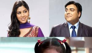 Bade Acche Lagte Hai: Will Ram Kapoor and Priya be married again?