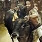 ARAVAAN movie review: Is worth a&nbsp;watch