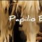 Malayalam film Papilio Buddha in hot water over Gandhi&nbsp;slight