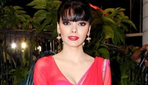 Sherlyn Chopra dons a sizzling saree for Lohri!