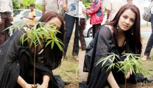 Celina Jaitley goes green!