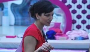 BIGG BOSS 5: Is Pooja Misrra in love with Siddharth?