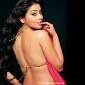 Shriya Saran to go&nbsp;nude!