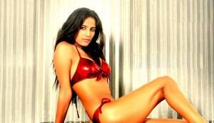 Poonam Pandey to do an item number for Veena Malik’s ‘Dirty Picture’