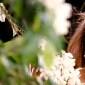 Rani Mukerji: Shahrukh Khan smells the&nbsp;best