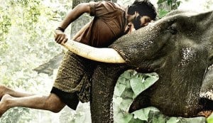 KUMKI movie review: A jumbo effort