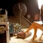 Will Priyanka Chopra be the next pop&nbsp;sensation?