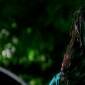 Zindagi 50-50 trailer: Veena Malik plays a call&nbsp;girl!