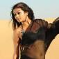 Priyamani signs Bollywood film with Riteish&nbsp;Deshmukh