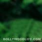 Box office report: Jab Tak Hai Jaan makes profit with Rs 60.39 crore in 4&nbsp;days!