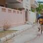 D For Dopidi trailer: Will Varun Sandesh, Sundeep Kishan, Naveen and Melanie succeed in robbing a&nbsp;bank?