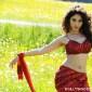Tamannaah Bhatia bags ‘Himmatwala’&nbsp;remake