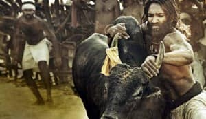 ARAVAAN movie review: Is worth a watch
