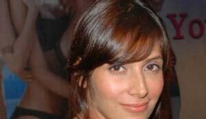 Shaurya Chauhan delays ‘Krrish 3′?