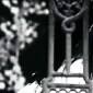 1920: EVIL RETURNS quick movie review: This scary movie has no&nbsp;direction!