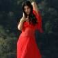 Will Prabhu Deva direct Shruti&nbsp;Haasan?