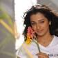 Trisha: What flaws does she need to&nbsp;fix?