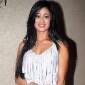 Parvarrish – Kuchh Khattee Kuchh Meethi: Will Shweta Tiwari have an extra-marital&nbsp;affair?