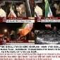 Did Shahrukh Khan show disrespect to the Indian&nbsp;flag?
