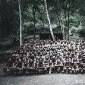 Paradesi movie review: Bala’s film is a tour de force of a movie that hits you like a freight train and leaves a lasting&nbsp;impression