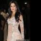 Katrina Kaif wants to play with hungry lions in the&nbsp;jungle!