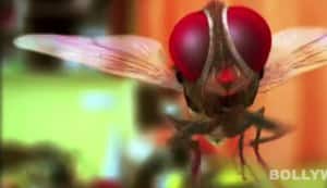 SS Rajamouli’s Eega to be screened at Cannes, Shanghai film festivals