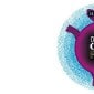 12th Osian’s Cine-fan Film Festival: I&B Ministry announces India’s film&nbsp;commission