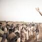 Anurag Kashyap to distribute Bala’s&nbsp;Paradesi