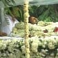 Rajesh Khanna cremated: Akshay Kumar and son Aarav lit&nbsp;pyre