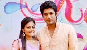 Balika Vadhu: When will Anandi and Shiv consummate their marriage?