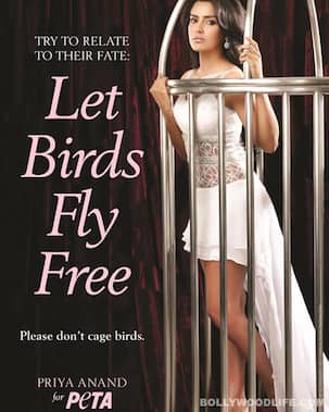 Fukrey star Priya Anand gets behind bars for PETA!
