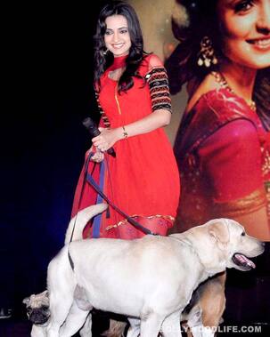 Sanaya Irani: Chhanchhan is not trying to change the world!