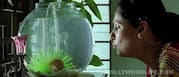Why is Dimple Kapadia nervous about What The Fish?