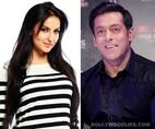 Bigg Boss 7: Why Elli Avram has no chance to work with Salman Khan?