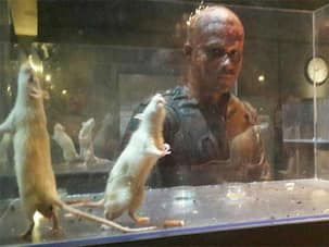 Have you seen Emraan Hashmi’s creepy bald avatar from Mr X? : View pic!